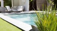 Budget-Friendly Pool Landscaping Ideas for a Backyard Oasis