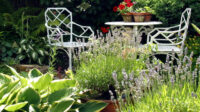 Small Garden Ideas for Your Tiny Lawn Architectural Digest